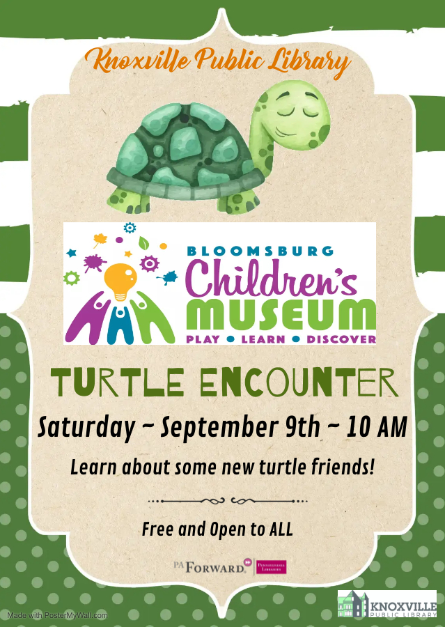 knoxville-library-turtle-encounter